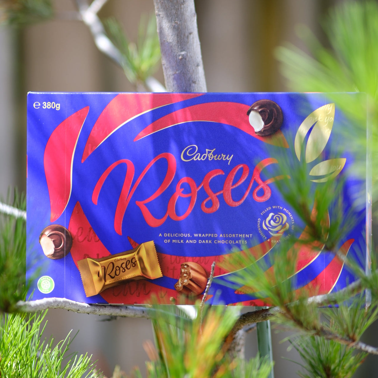 Pool of Cadbury Roses (380g)